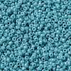 MIYUKI Round Rocailles Beads X-SEED-G009-RR2470-3