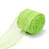 Polyester Lace Trim OCOR-A004-01P-2