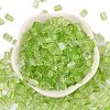 Transparent Spray Painted Glass Seed Beads SEED-L011-10A-06-2