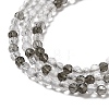 Transparent Glass Beads Strands GLAA-H027-01F-4