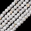 Natural Freshwater Shell Beads Strands SH-CBA2978-07D-02-1