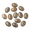 Natural Fossil Coral Cabochons G-J329-20-10x14mm-2