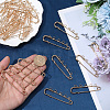 30Pcs Iron Brooch Findings IFIN-SC0002-10A-KCG-3