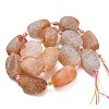Natural Weathered Agate Beads Strands G-A321-P02-02-5