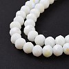 Electroplate Opaque Solid Color Glass Beads Strands LS-EGLA-A044-P3mm-L01-4