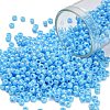 TOHO 8/0 Round Beads SEED-XTR08-0403-1