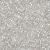 Glass Seed Beads SEED-US0003-3mm-101-2