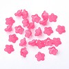 Transparent Acrylic Beads LS-PL560-2-2