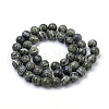 Natural Green Zebra Jasper Beads Strands G-S259-34-6mm-2