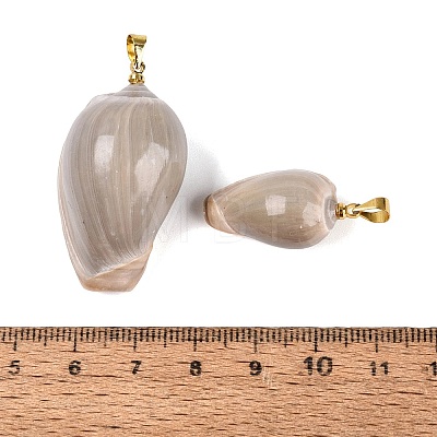 Brass & Natural Oliva Shell Pendants SHEL-Q029-22KCG-1