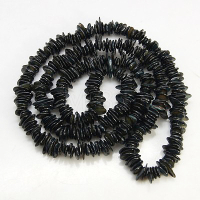 Natural Shell Beads Strands X-BSHE-D003-8-1