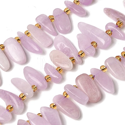 Natural Kunzite Beads Strands G-P604-A26-01-1