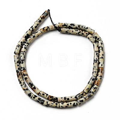 Natural Dalmatian Jasper Beads Strands G-I326-07-1