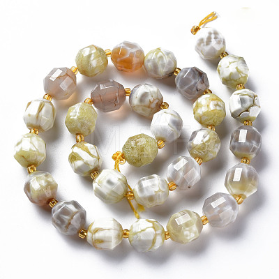 Natural Fire Crackle Agate Beads Strands G-T131-119-1