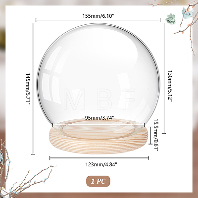 Round Glass Dome Cover AJEW-WH0518-35-1