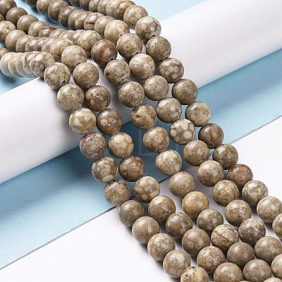 Natural Maifanite/Maifan Stone Beads Strands X-G-I187-6mm-01-1