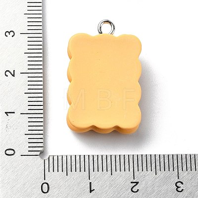 Resin Pendants RESI-I058-04A-01-1