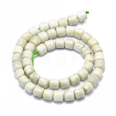 Natural Myanmar Jade Beads Strands G-F715-030-1