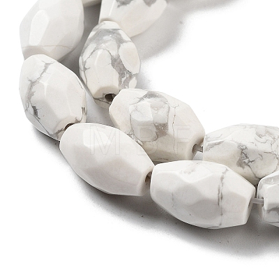 Natural Howlite Beads Strands G-P520-C16-01-1