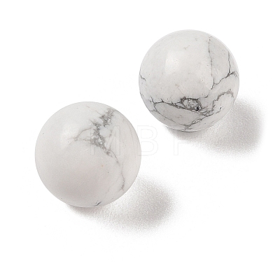 Natural Howlite No Hole Sphere Beads G-K353-04A-20-1