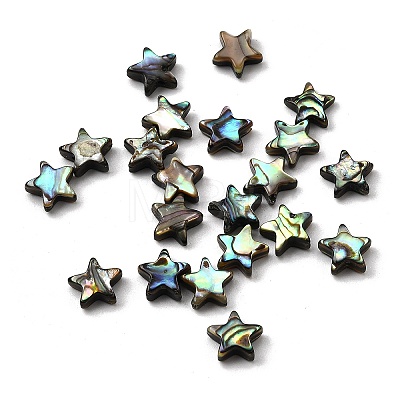 Natural Abalone Shell/Paua Shell Beads SHEL-B003-12-1