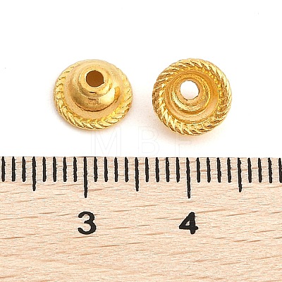 Tibetan Style Alloy Bead Caps LS-K090A011-1