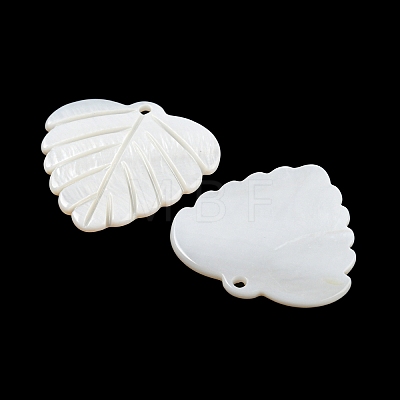 Natural Freshwater Shell Pendants BSHE-G034-20-1