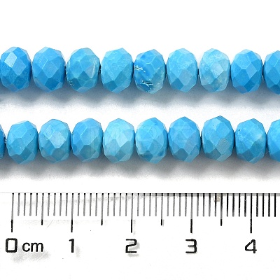 Dyed Natural Howlite Beads Strands G-G023-A01-01B-1