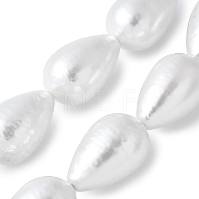 Electroplated Shell Pearl Beads Strands BSHE-F013-13-02-1