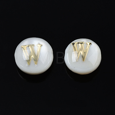 Natural Freshwater Shell Beads SHEL-S278-036W-1