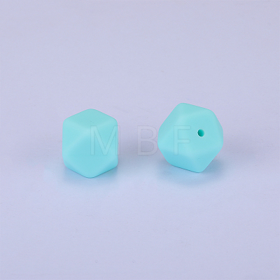 Hexagonal Silicone Focal Beads SI-JX0020A-82-1