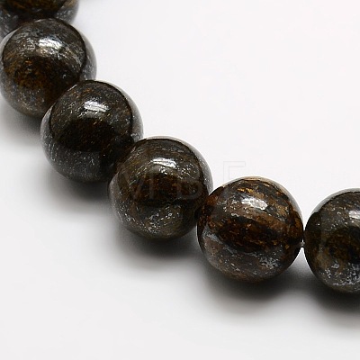 Round Natural Bronzite Beads Strands G-P059C-01-1