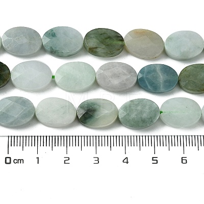 Natural Myanmar Jadeite Beads Strands G-A092-E01-02-1
