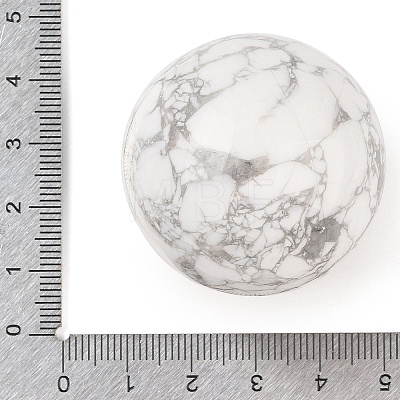 Natural Howlite Sphere Beads G-I367-07F-1