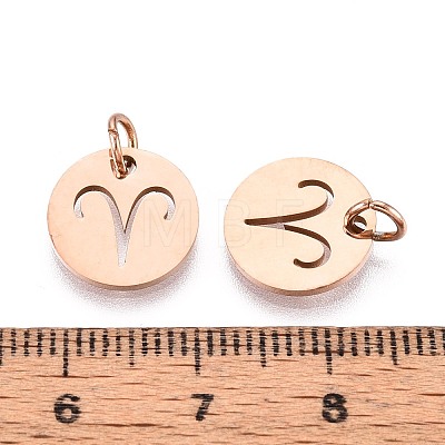 304 Stainless Steel Charms STAS-Q201-T445-1R-1