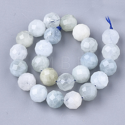 Natural Aquamarine Beads Strands X-G-S345-10mm-013-1