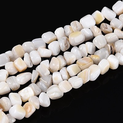 Natural Freshwater Shell Beads Strands SHEL-N037-04K-1