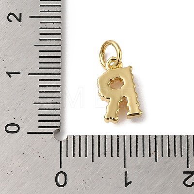 Rack Plating Brass with ABS Plastic Imitation Pearl Charms KK-B092-30R-G-1