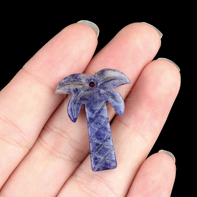 Natural Sodalite Pendants PW-WG3631D-01-1