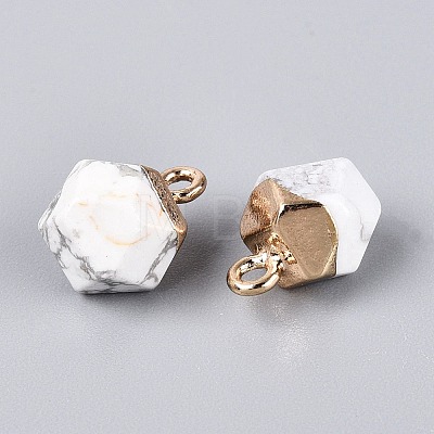 Natural Howlite Pendants G-N359-18G-14-1