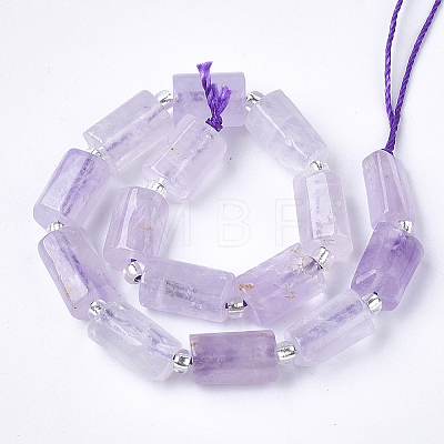 Natural Amethyst Beads Strands X-G-S345-8x11-015-1