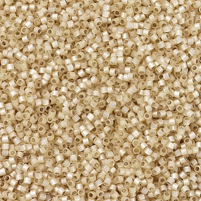 MIYUKI Delica Beads X-SEED-J020-DB0621-1