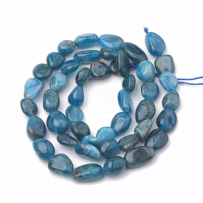 Natural Apatite Beads Strands X-G-S331-6x8-002-1