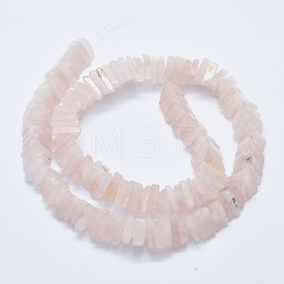 Natural Rose Quartz Beads Strands G-F631-J02-1