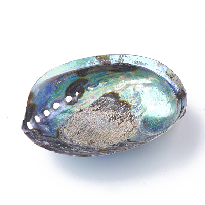 Natural Paua Shell Beads SSHEL-Q298-22-1