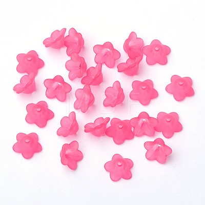 Transparent Acrylic Beads PL560-2-1