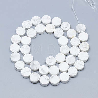 Natural Howlite Beads Strands G-T122-03F-1