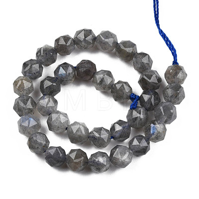 Natural Labradorite Beads Strands G-N327-03A-06-1