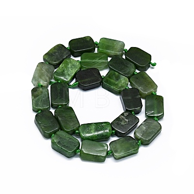 Natural Canadian Jade Beads Strands G-F725-04-1
