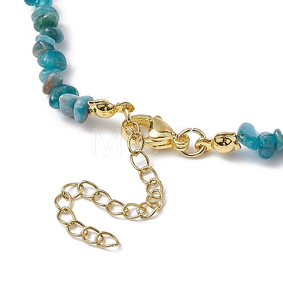 Natural Apatite Chip Beaded Necklace NJEW-JN04616-15-1
